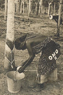 Bild: Kautschukgewinnung in Singapur ca. 1900